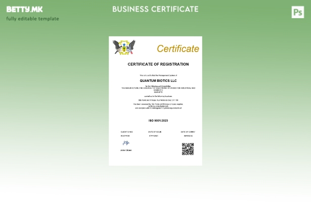 модерен стил Сао Томе и Принсипе сертификат за регистрација на бизнис Шаблон за 